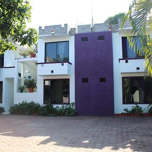 Hotel Palmarito